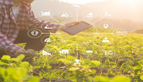 Ericsson and du partner with Pure Harvest Smart Farms to collaborate on 5G solutions