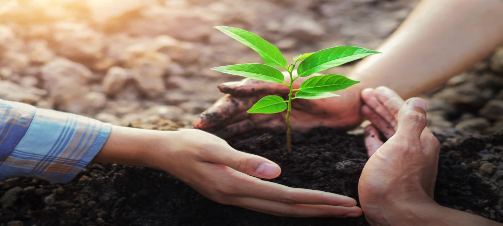 Schneider Electric and IT solution providers offset impact of European Partner Summit through planting thousands of trees