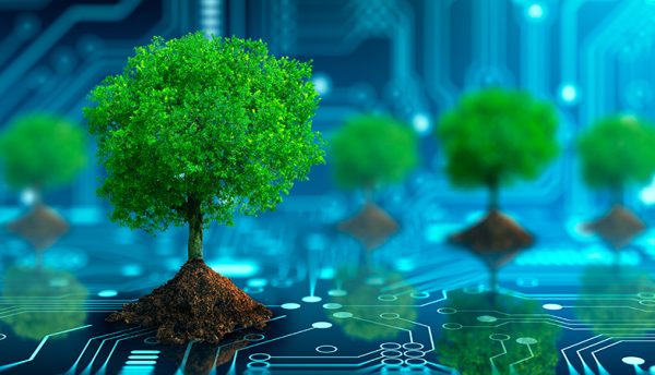 Technology leaders take a look at IT practices that negatively impact the environment