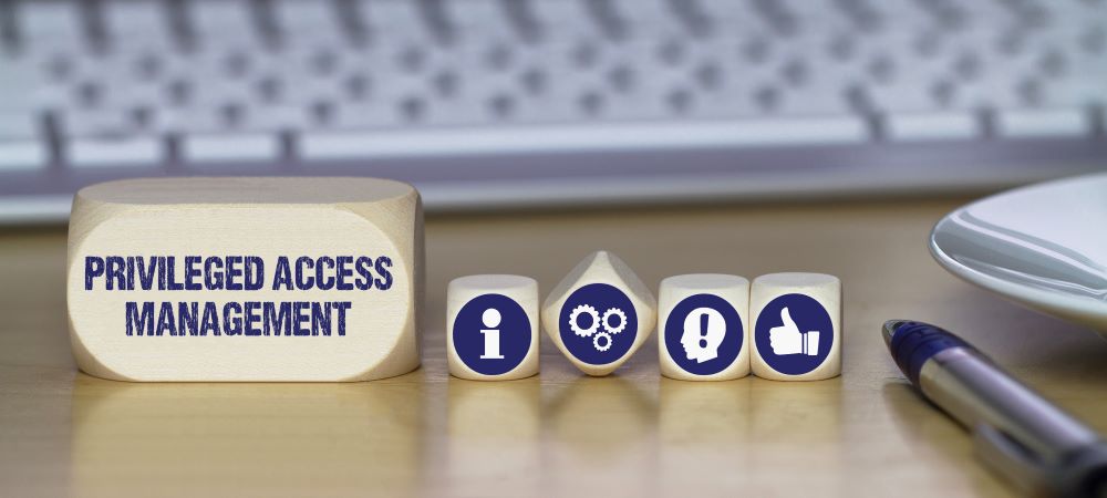 Delinea worldwide channel momentum continues to deliver substantial growth