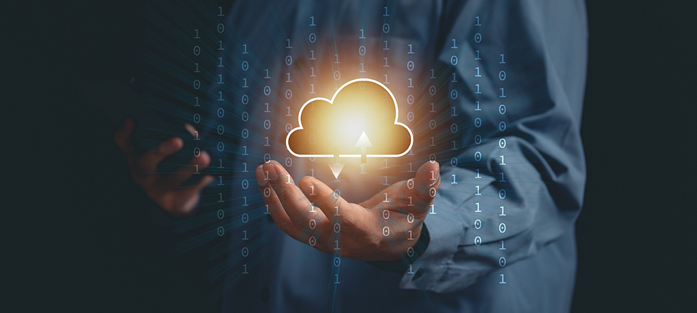 Wiise signs strategic partnerships with Endeavour and Thyme Technologies